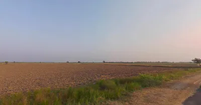 Bamanva, Gujarat 388580, India preview 2