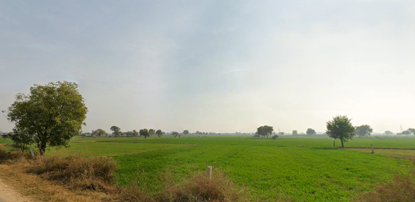 Mangali, Haryana 125005, India