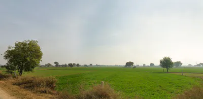 Mangali, Haryana 125005, India preview 2