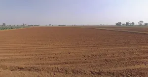 Baspa, Gujarat 384245, India preview 2