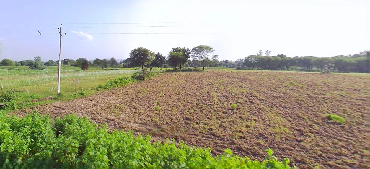 Bijnor, Uttar Pradesh 246701, India