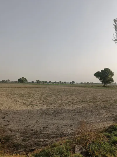 Israna, Haryana 132107, India preview 2