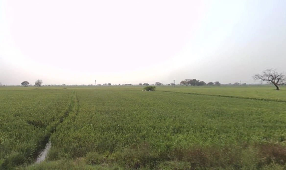 Ghosla, Madhya Pradesh 456550, India preview 3