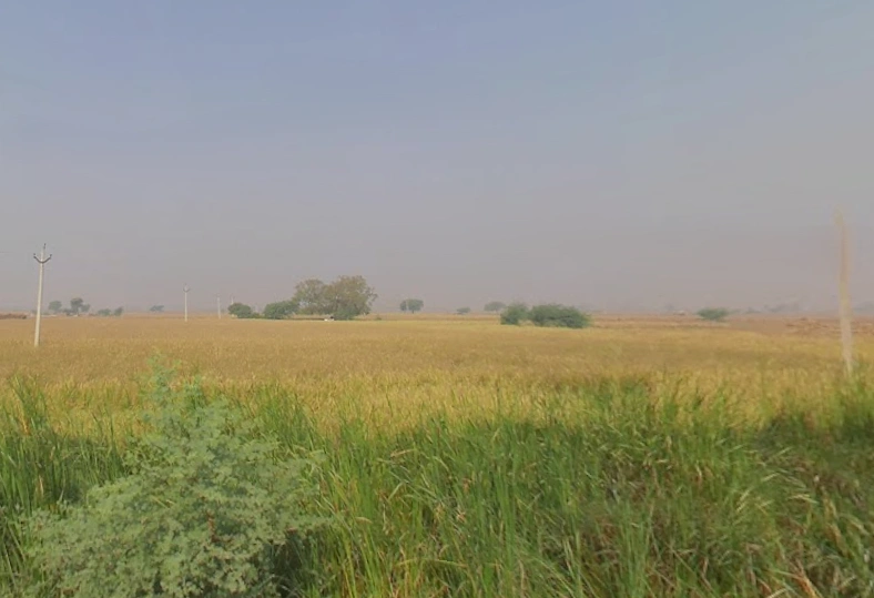 Kalan, Uttar Pradesh, India