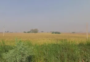 Kalan, Uttar Pradesh, India preview 3