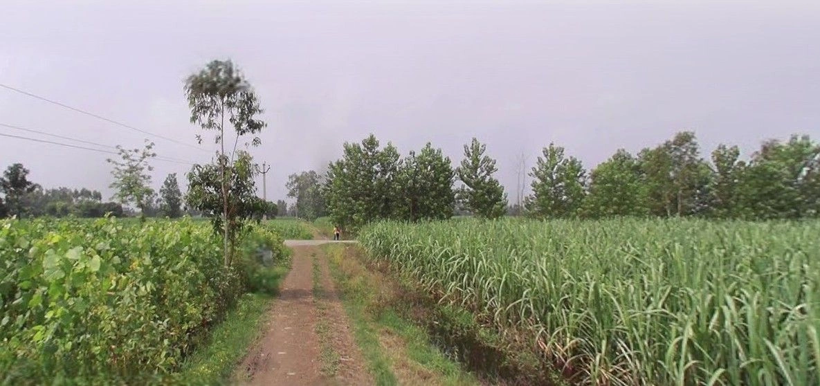 Khatauli, Uttar Pradesh 251201, India