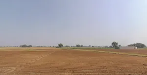 CC99+F6 Mahobatpur, Gujarat, India preview 2