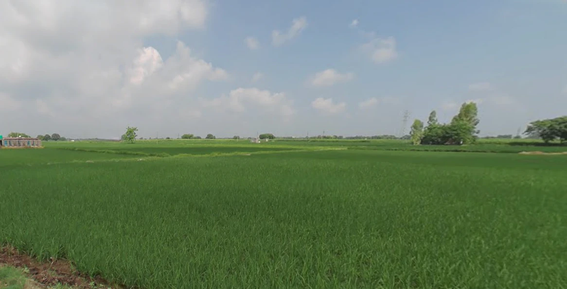 Bela, Punjab 140111, India