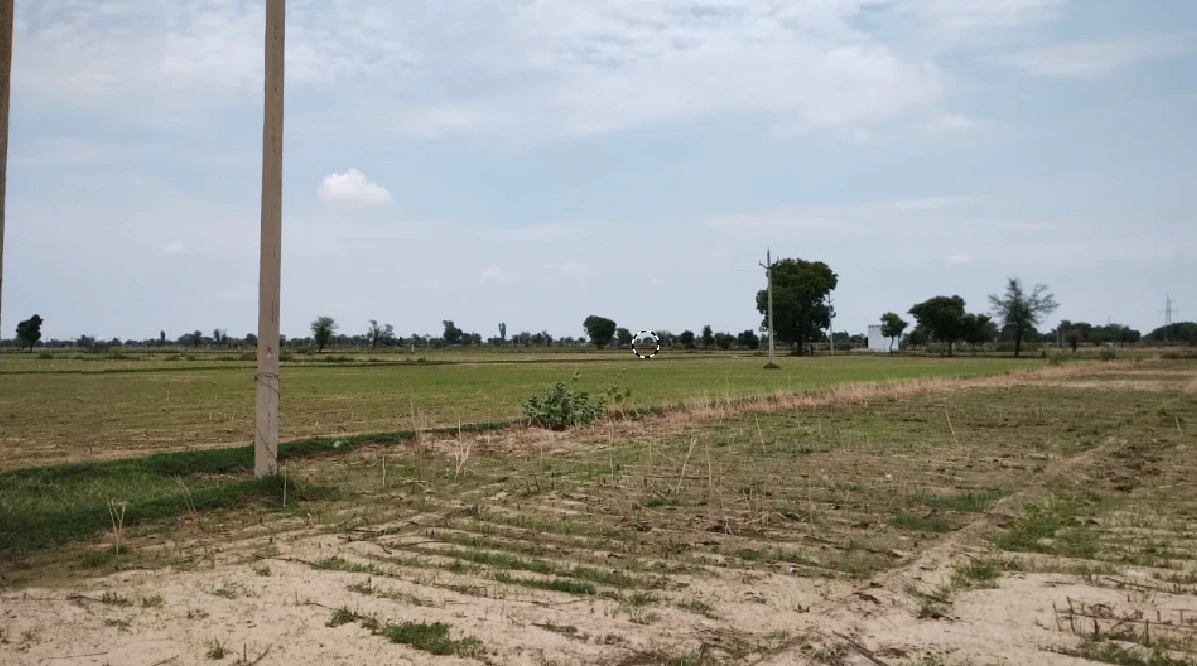 Ganaur, Haryana 131101, India