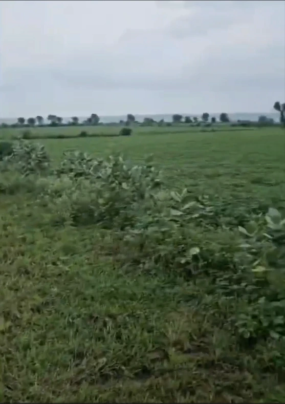 2R6M+HVJ, Indore, Barodiya Khan, Madhya Pradesh 453551, India