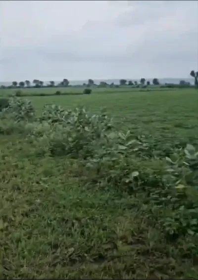 2R6M+HVJ, Indore, Barodiya Khan, Madhya Pradesh 453551, India preview 2