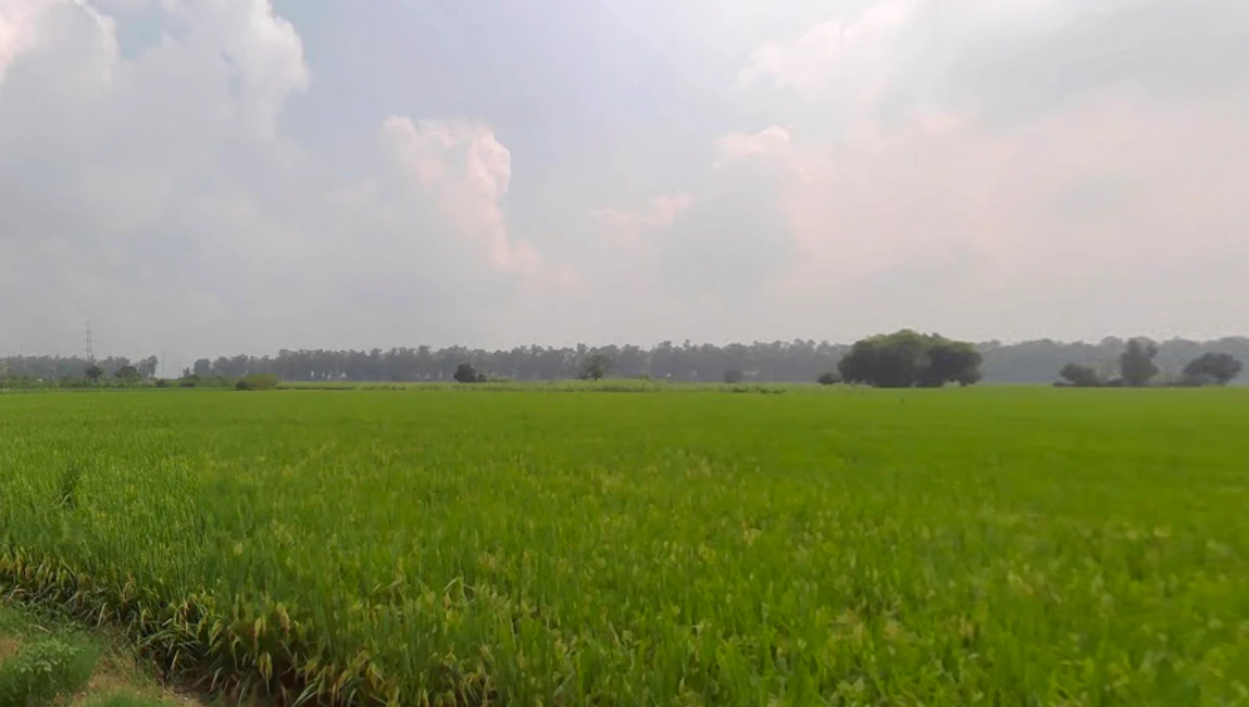 Landha, Punjab 141421, India