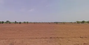 Bilatha, Gujarat 393130, India preview 2