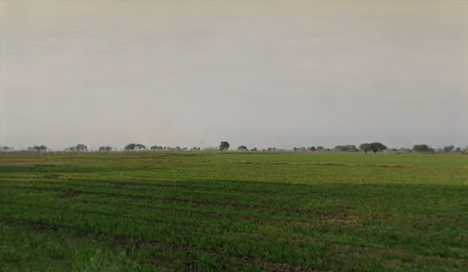 Puwarda Happa, Madhya Pradesh, India