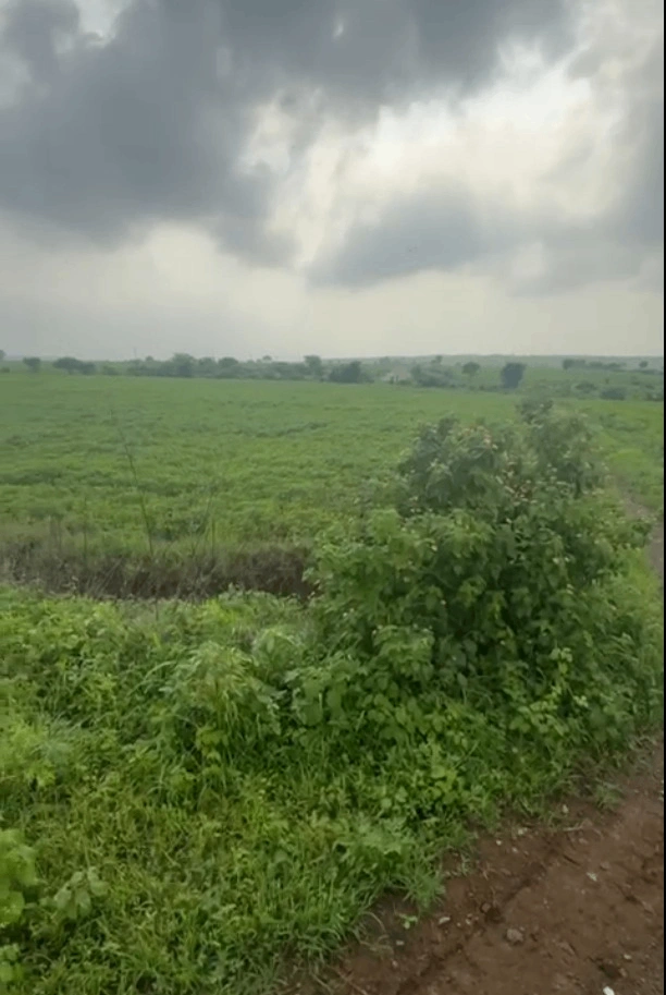 Biaora, Madhya Pradesh 465674, India