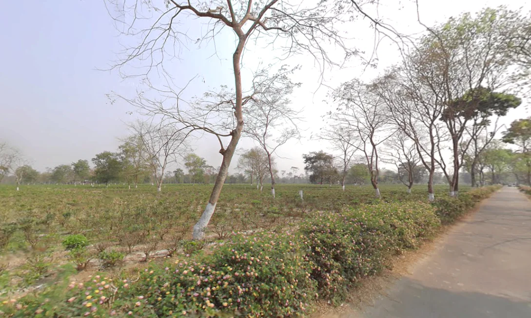 Mal Bazar, West Bengal 735221, India preview 2