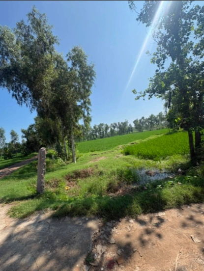 W85G+84F, Saharanpur, Malakpur, Uttar Pradesh 247342, India