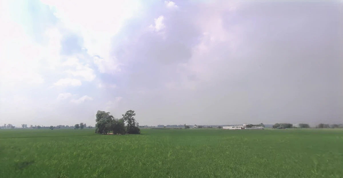 Daddu Majra Colony, Chandigarh, 160014, India