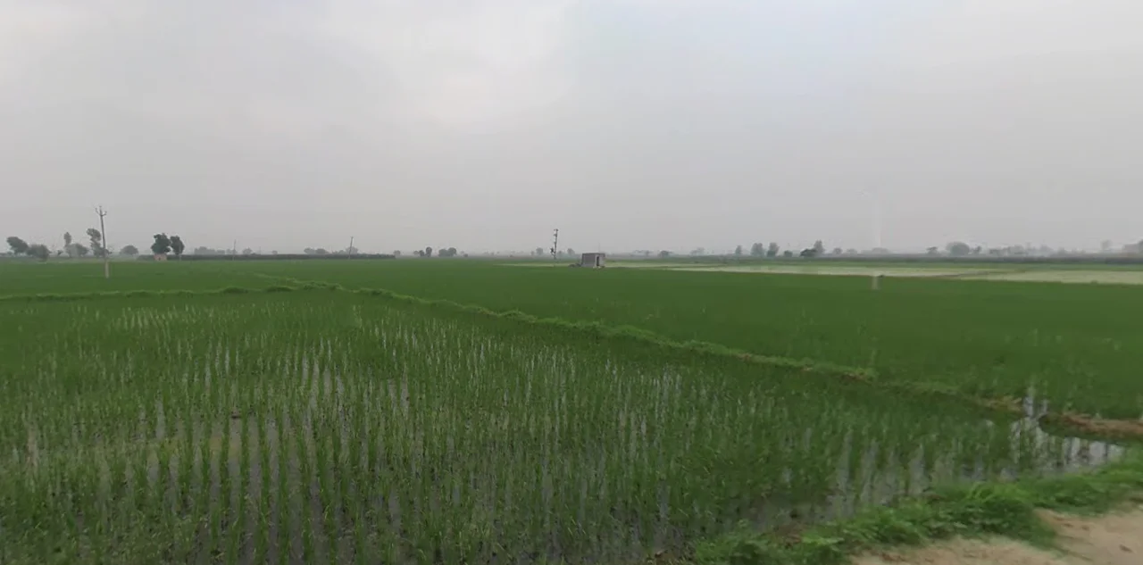 Dusarana, Punjab 140103, India preview 2