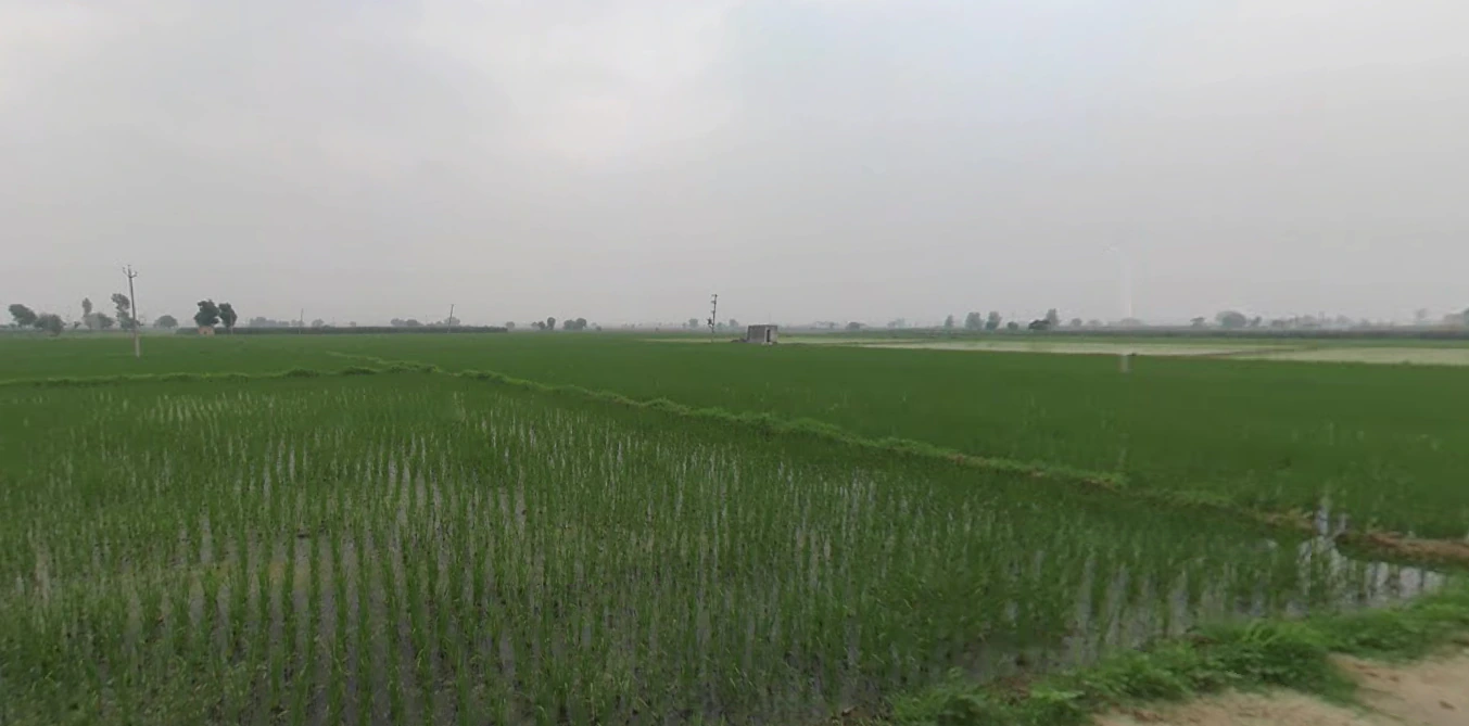 Dusarana, Punjab 140103, India