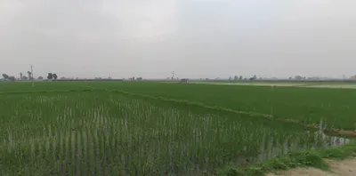 Dusarana, Punjab 140103, India preview 2