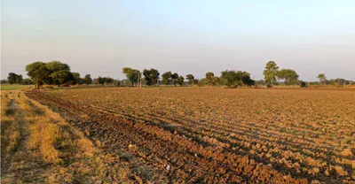 Makdone, Ujjain, Madhya Pradesh 456668, India preview 3