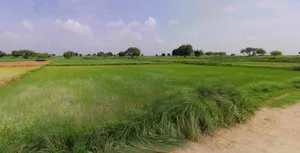 Barpeta, Assam, India preview 3