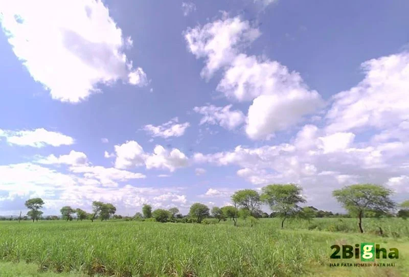 Janjgir-Champa, Chhattisgarh, India preview 4