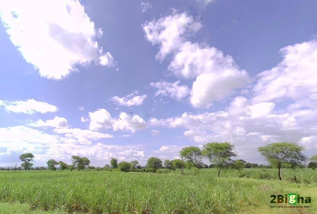 Janjgir-Champa, Chhattisgarh, India