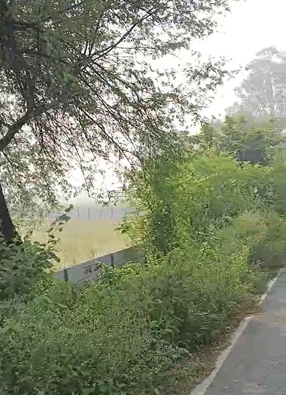 2794+FF, Palwal, Hathin, Kondal, Haryana 121103, India