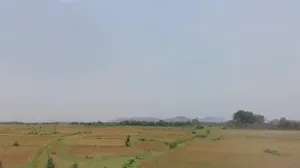 Q3FG+3J7, Jhatiapara, Odisha 755023, India preview 3