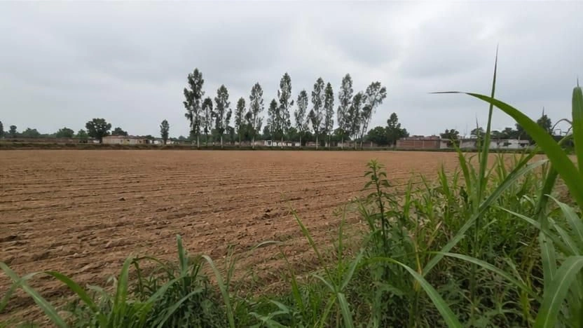 Barhana, Uttar Pradesh, India