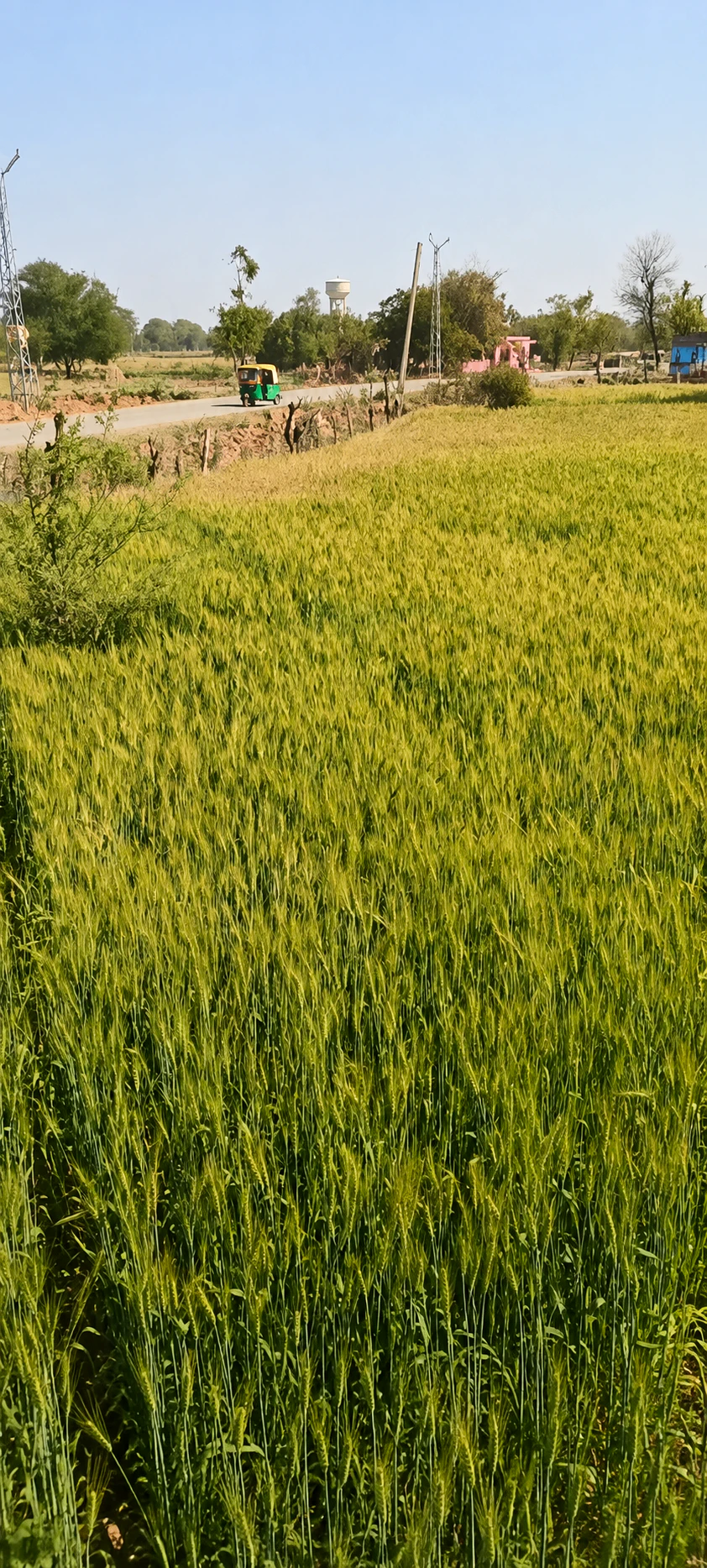 Garoodwasi, Rajasthan, India