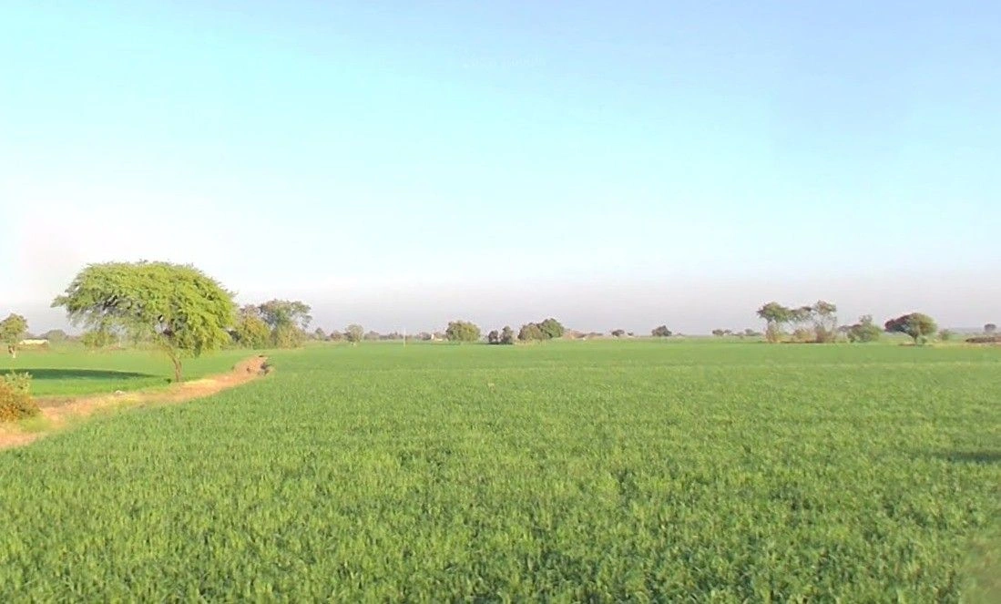 Sultanganj, Madhya Pradesh, India