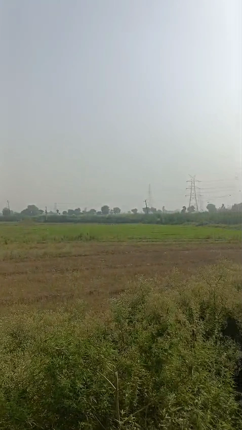 QPH6+6V5, Sarawa, Uttar Pradesh 245206, India