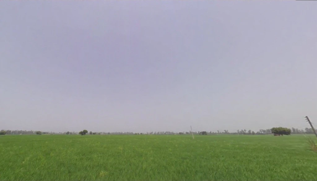 Rakshera, Haryana 132115, India