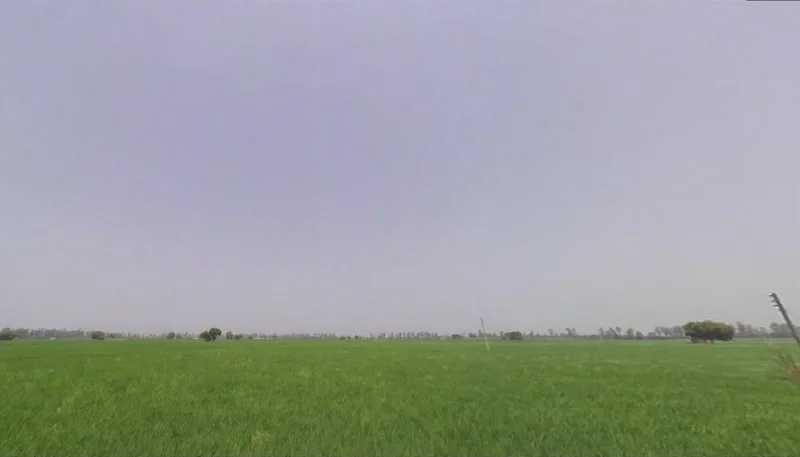 Rakshera, Haryana 132115, India preview 2