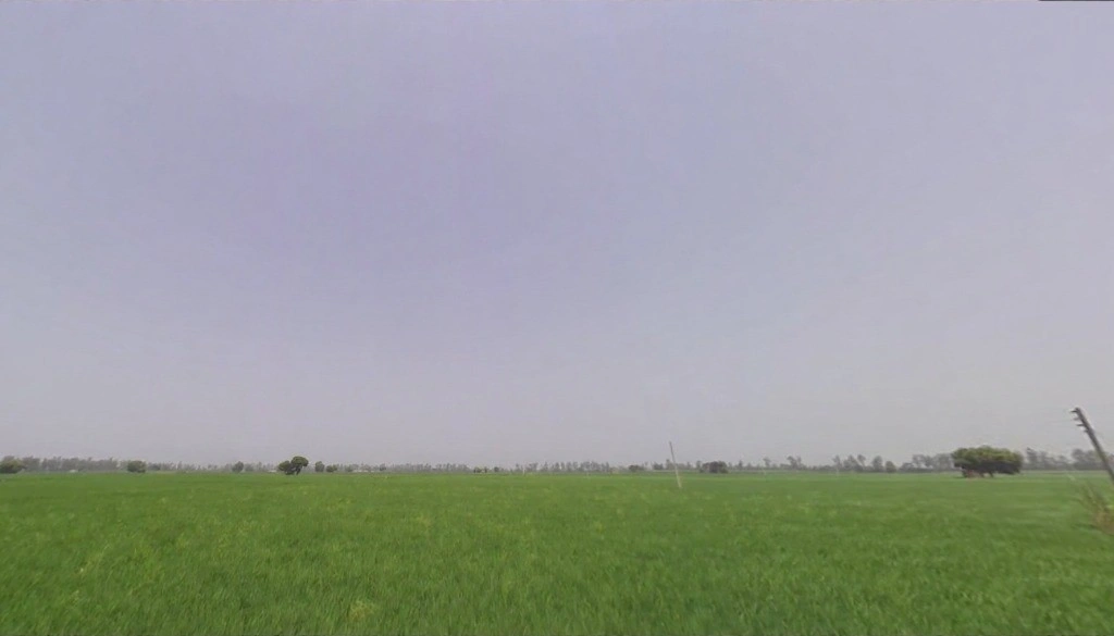 Rakshera, Haryana 132115, India