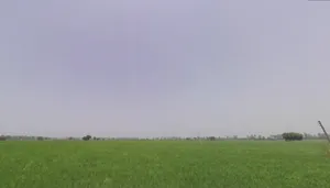 Rakshera, Haryana 132115, India preview 2