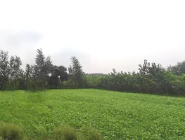 Mahlowali Rd, Badshahpur, Uttar Pradesh 247662, India preview 2