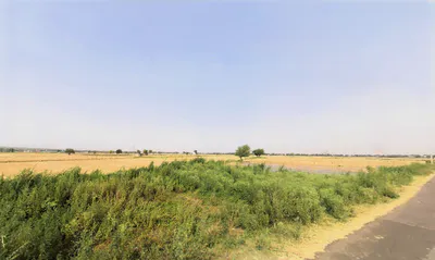 Pali, Haryana, India preview 3