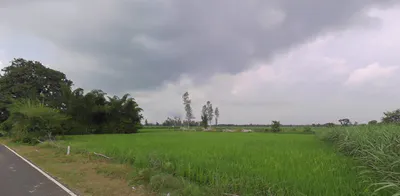 Puranpur, Uttar Pradesh 262122, India preview 2