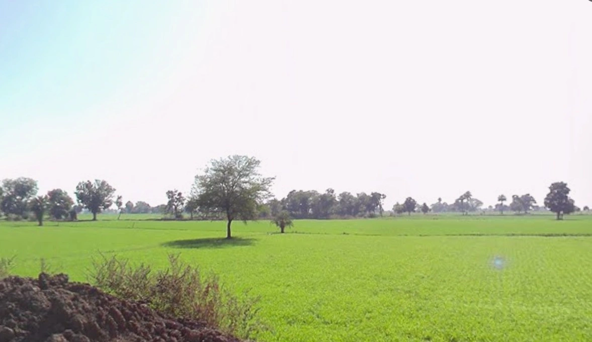 Agar, Madhya Pradesh 465441, India