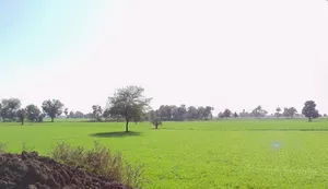 Agar, Madhya Pradesh 465441, India preview 2
