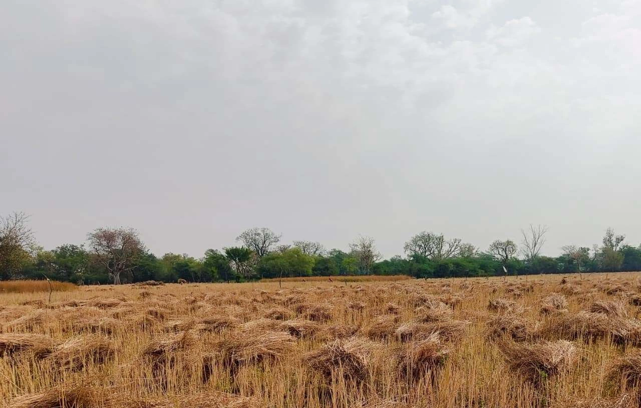 Gharwari, Rajasthan 321201, India