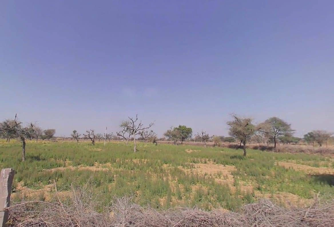 C73X+RJ Samer, Rajasthan, India