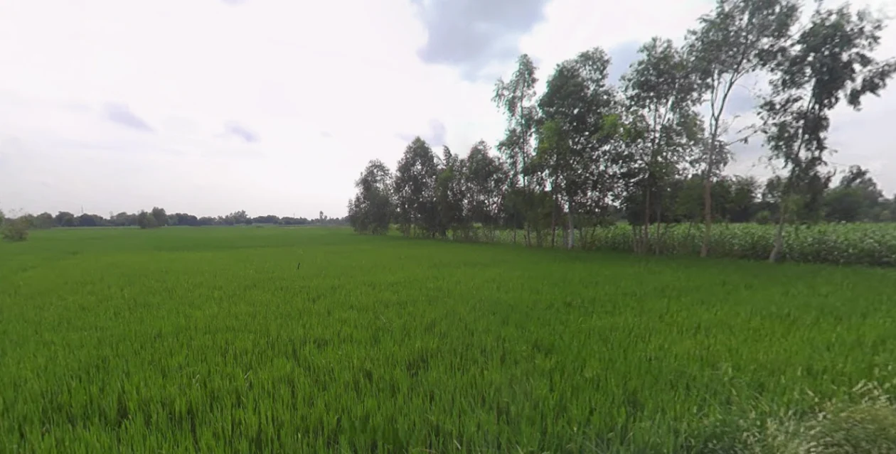 Mohanlalganj, Uttar Pradesh 226301, India