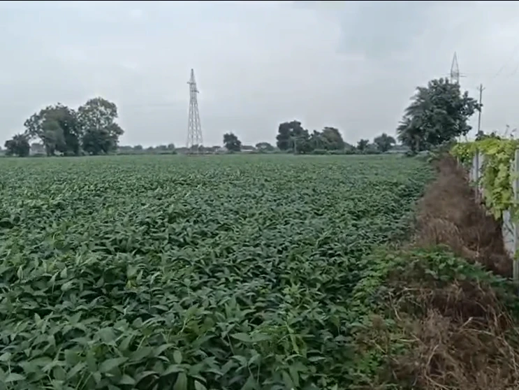 Nayapura, Ratlam, Madhya Pradesh 457226, India
