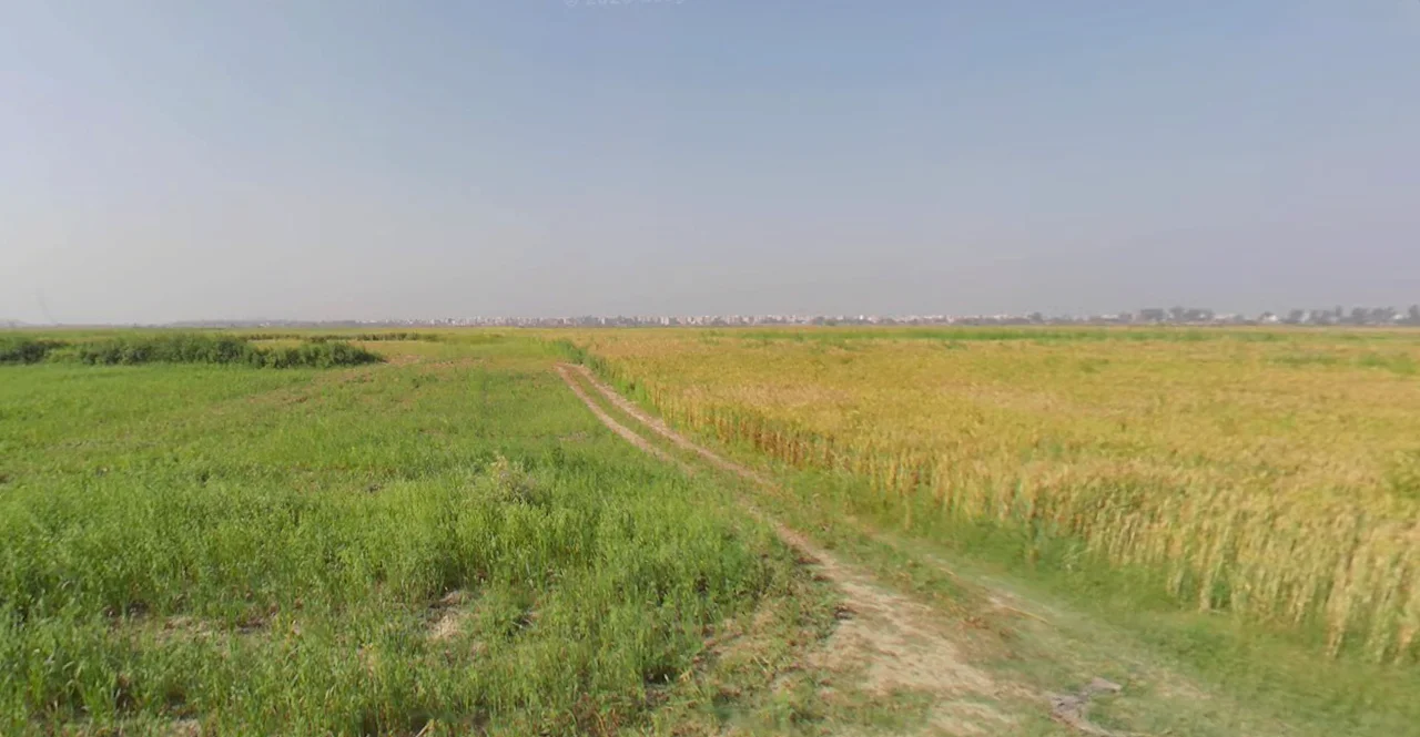 Patwapur, Haryana 124411, India preview 3