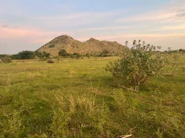 XX93+R8 Tangedukunta, Andhra Pradesh, India preview 5